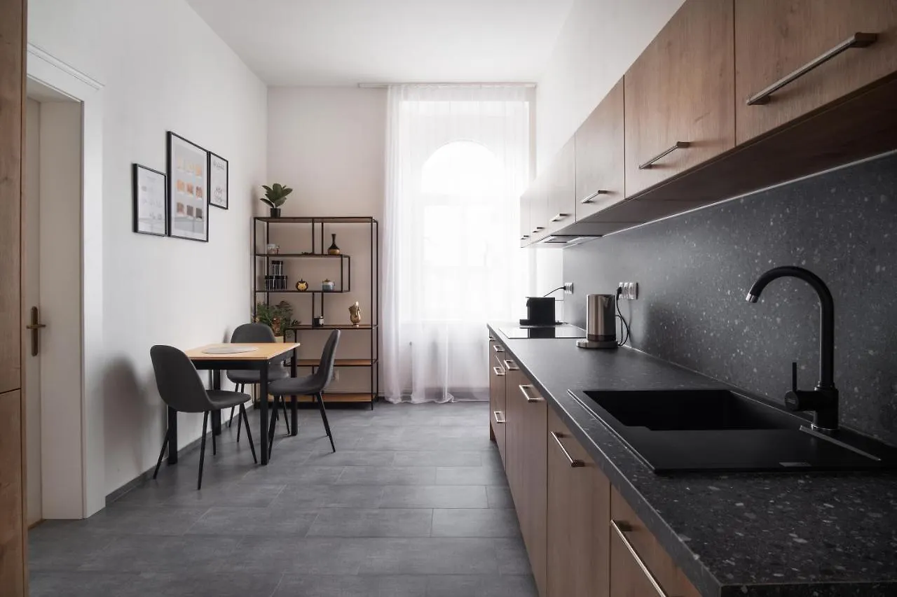 Spacious Apartment In Karlin By Prague Days