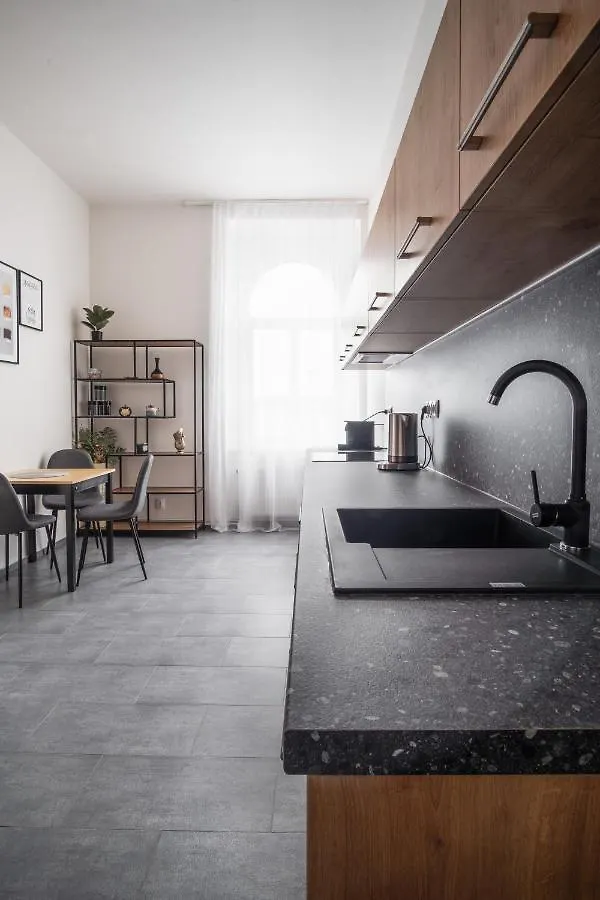 Spacious Apartment In Karlin By Prague Days 0*,