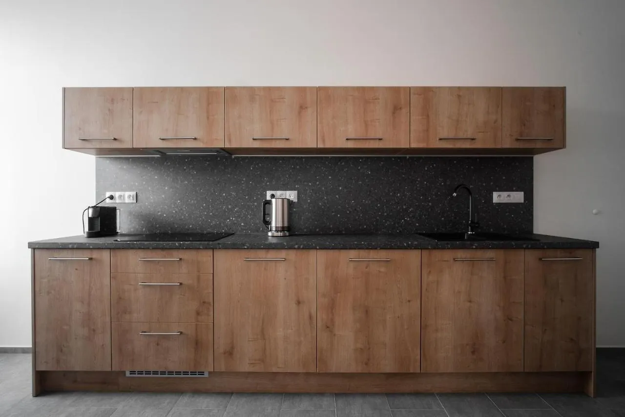 Spacious Apartment In Karlin By Prague Days