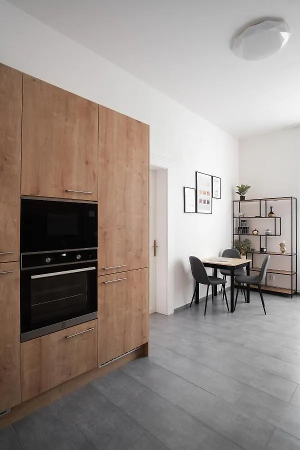 Spacious Apartment In Karlin By Prague Days